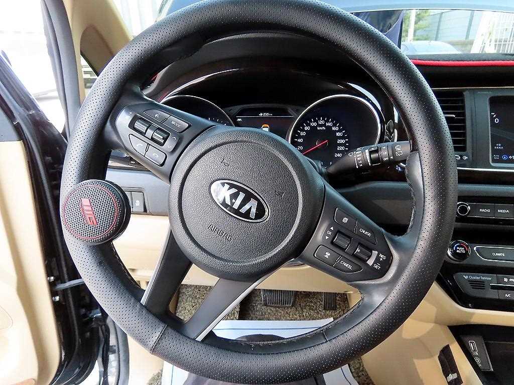 KIA Carnival - Vista 9