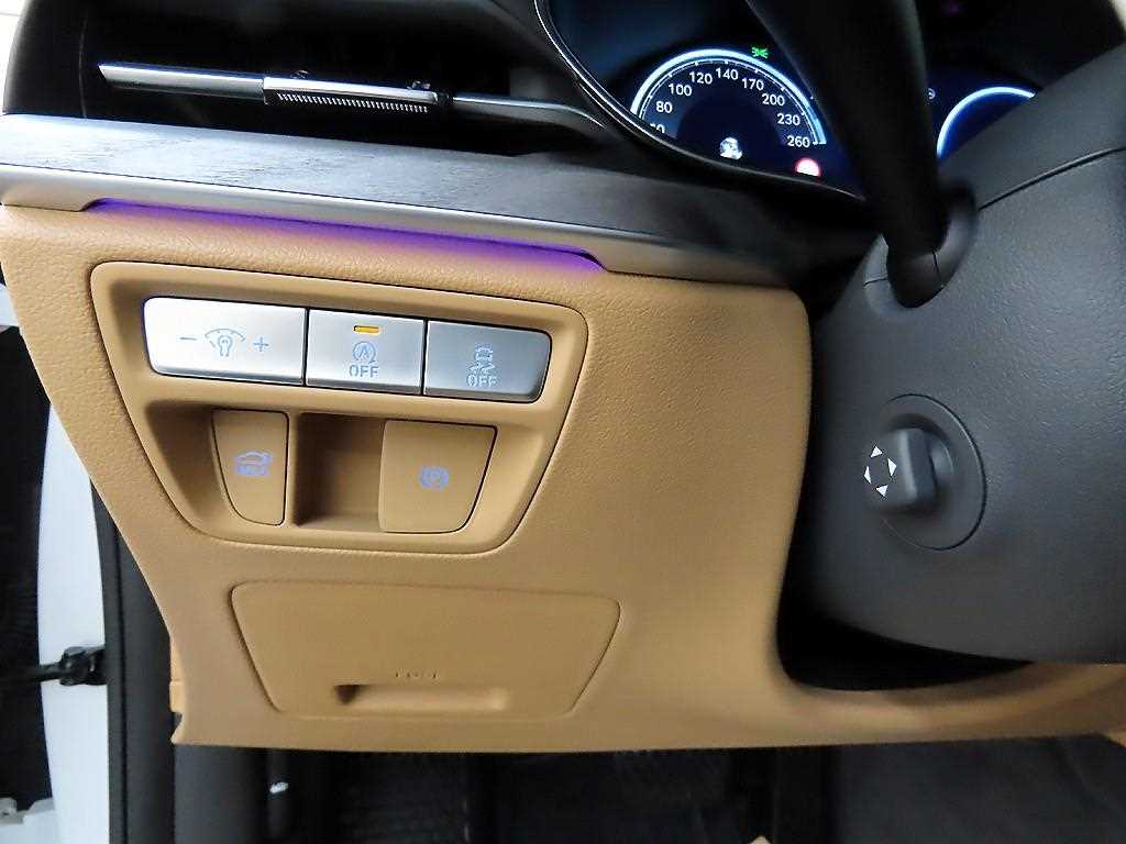 Genesis G80 - Vista 11