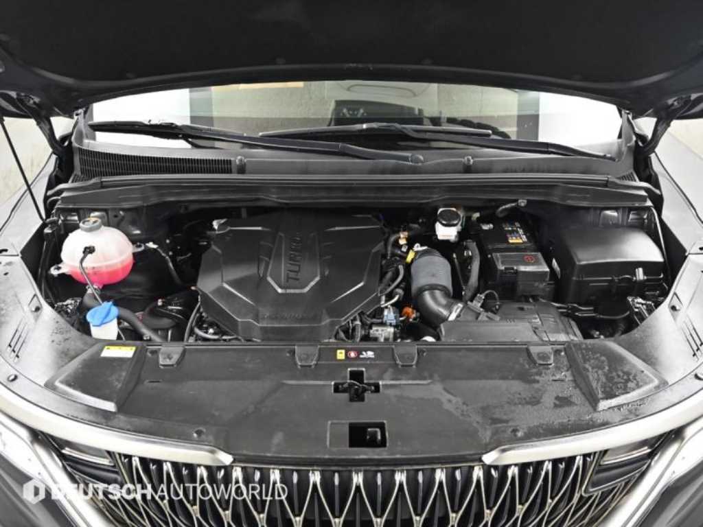 KIA Carnival - Vista 6