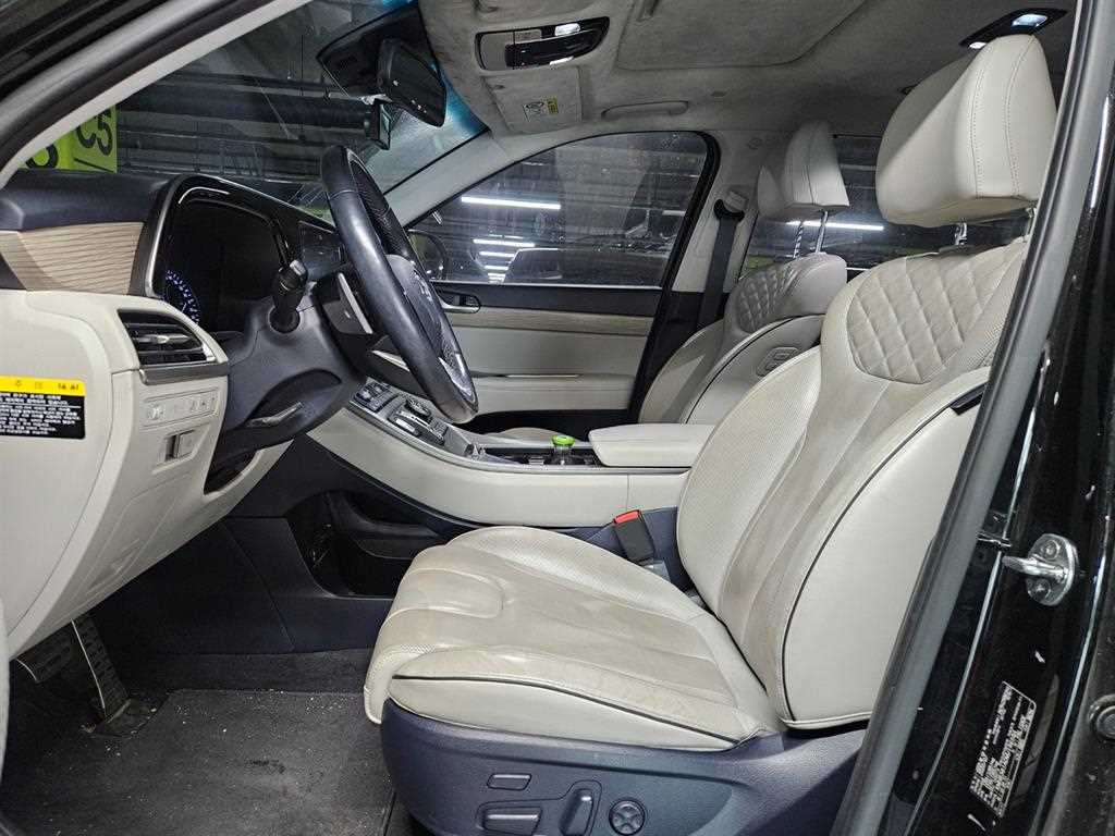 HYUNDAI Palisade - Vista 10