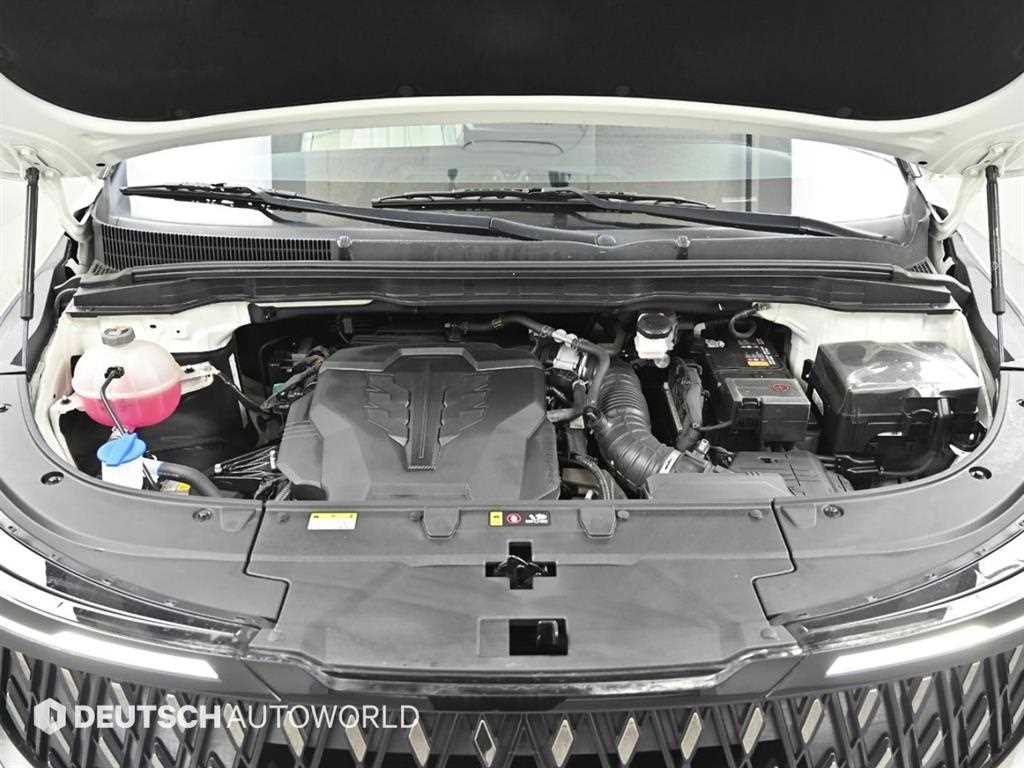 KIA Carnival - Vista 6