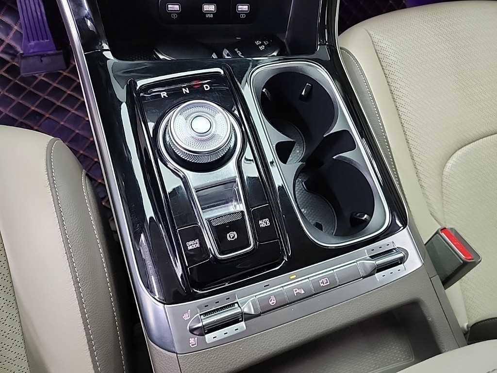 KIA Carnival - Vista 8