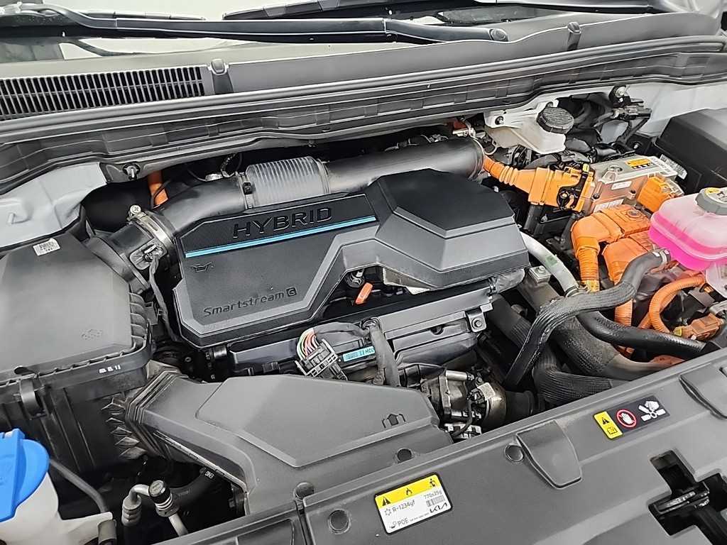 KIA Carnival - Vista 5