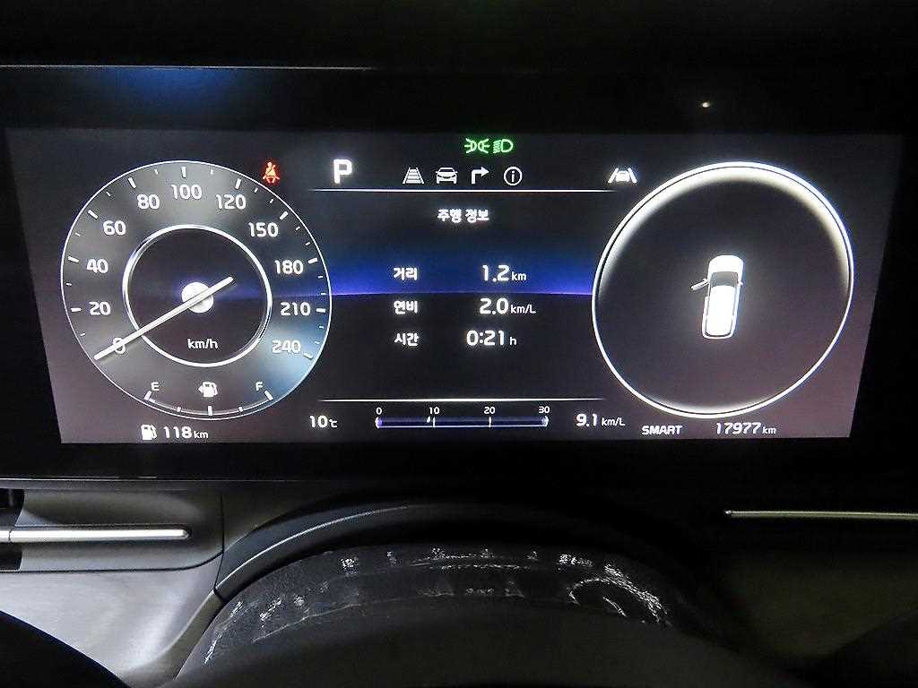 KIA Carnival - Vista 9