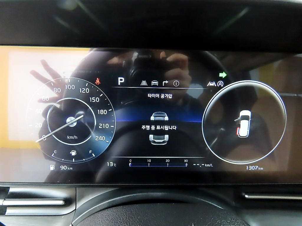 KIA Carnival - Vista 8