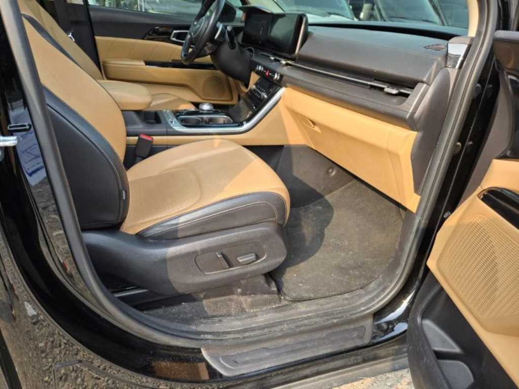 KIA Carnival - Vista 12