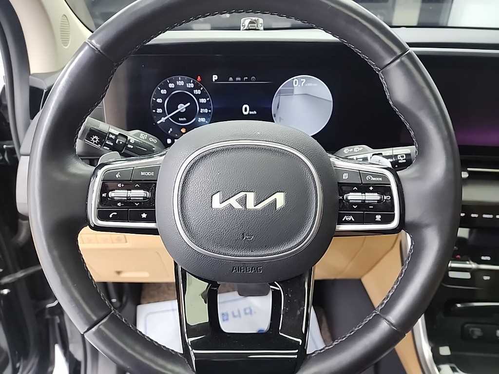 KIA Carnival - Vista 9