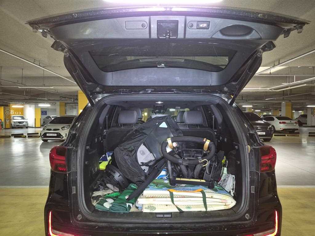 Ssangyong Rexton - Vista 6