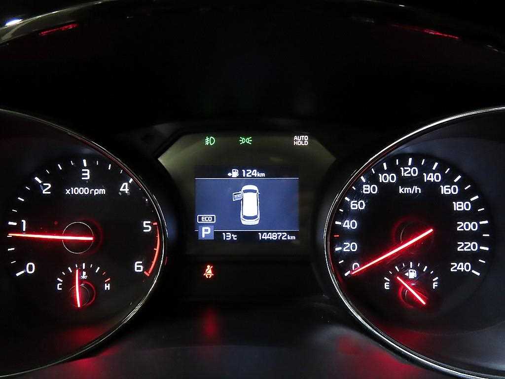 KIA Carnival - Vista 9