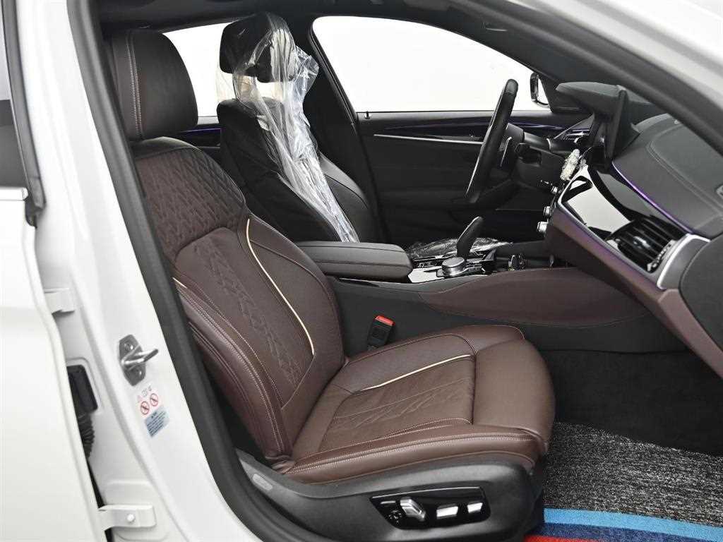 BMW 5 Series - Vista 10