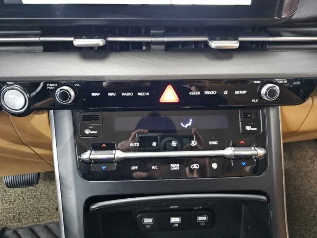 KIA Carnival - Vista 11