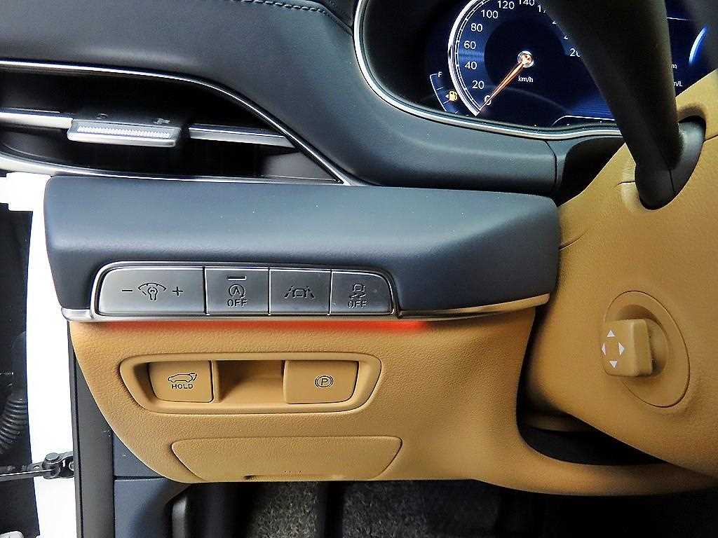 Genesis GV80 - Vista 12