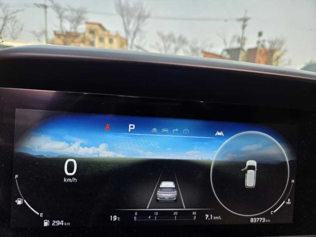 KIA Carnival - Vista 6