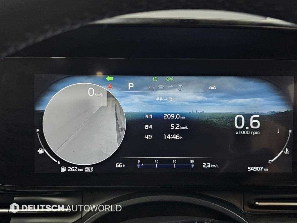 KIA Carnival - Vista 8