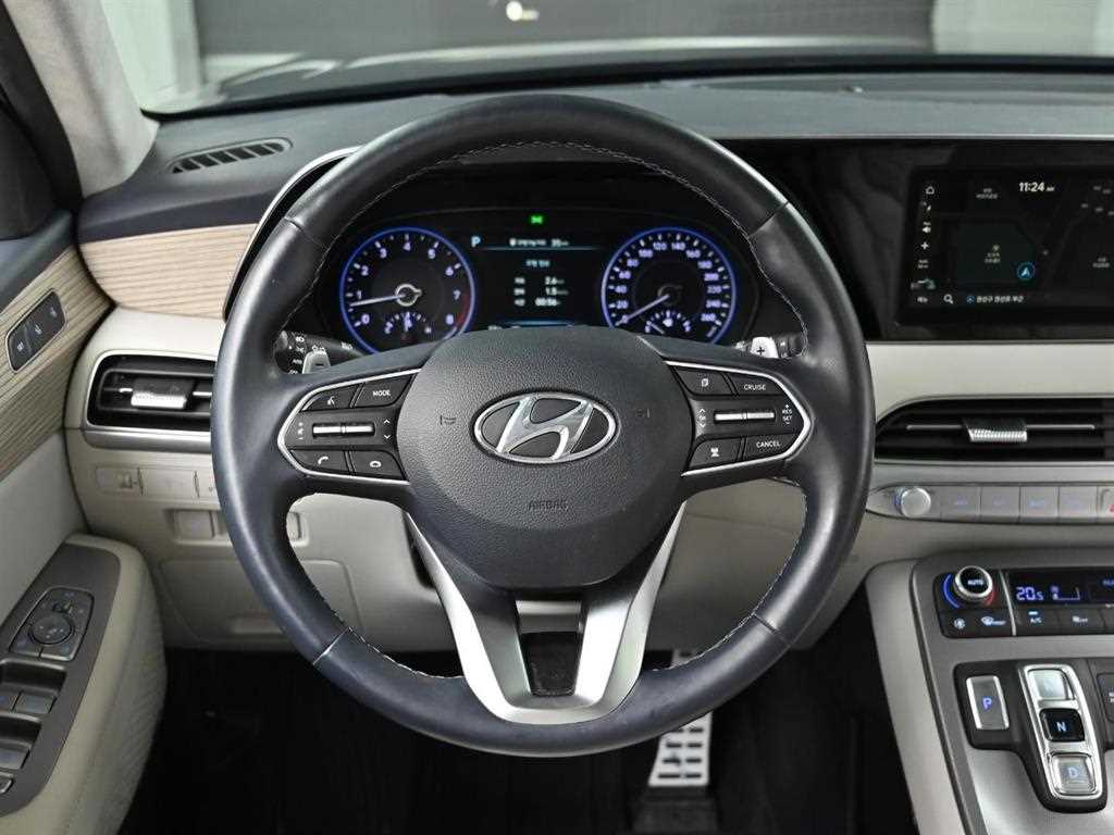 HYUNDAI Palisade - Vista 12