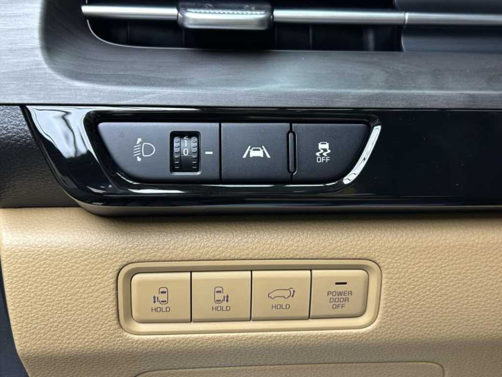 KIA Carnival - Vista 12