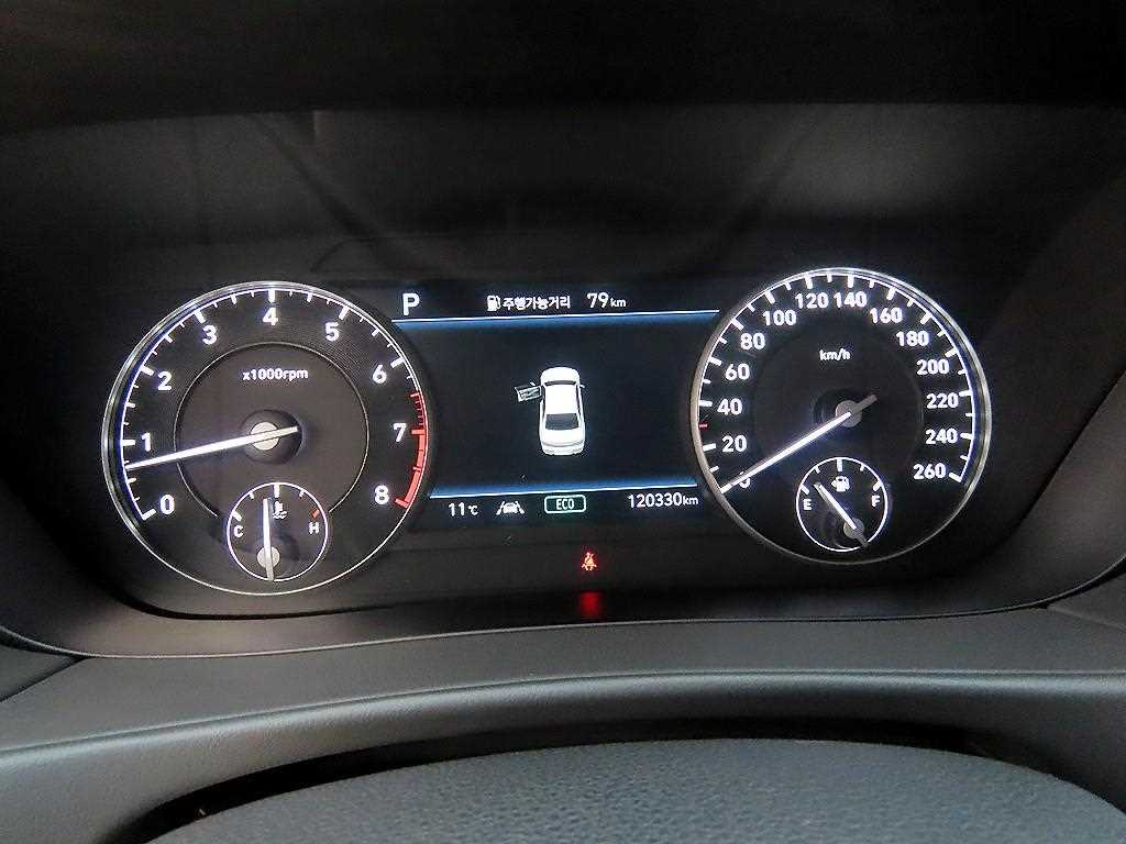 Genesis G90 - Vista 9