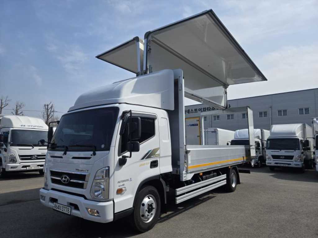 medium and large cargo Cargo - Vista 9