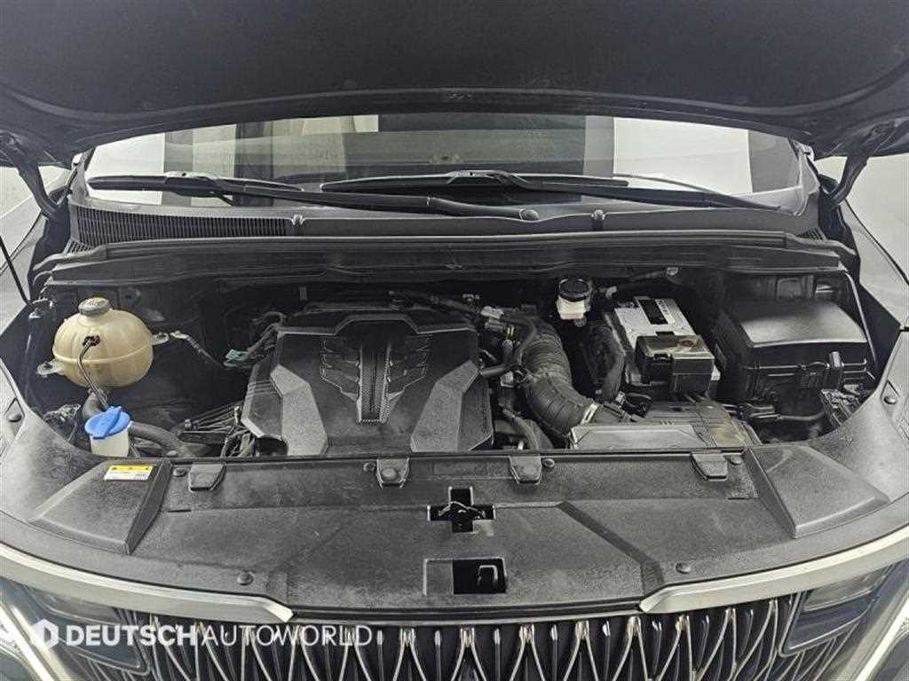 KIA Carnival - Vista 6