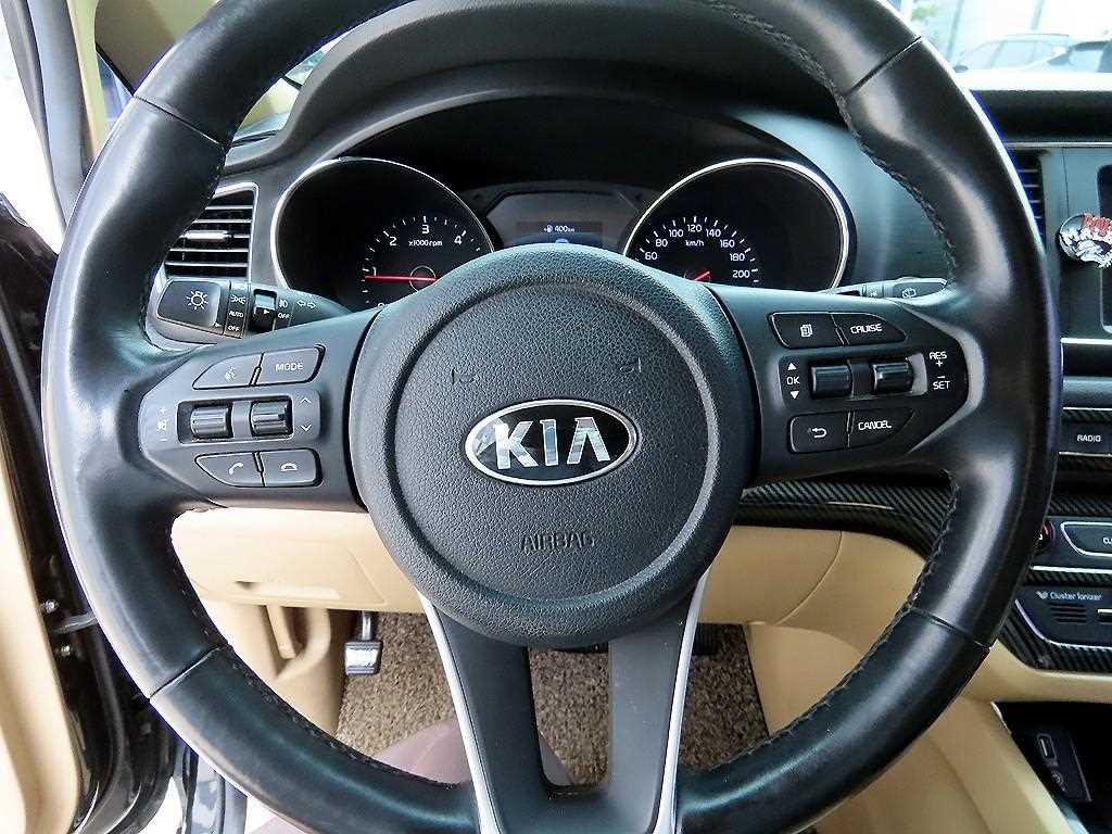 KIA Carnival - Vista 9