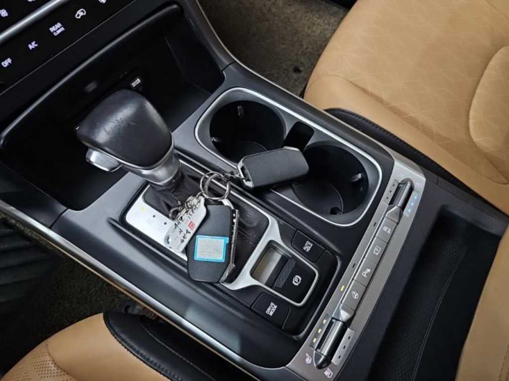 KIA Carnival - Vista 12