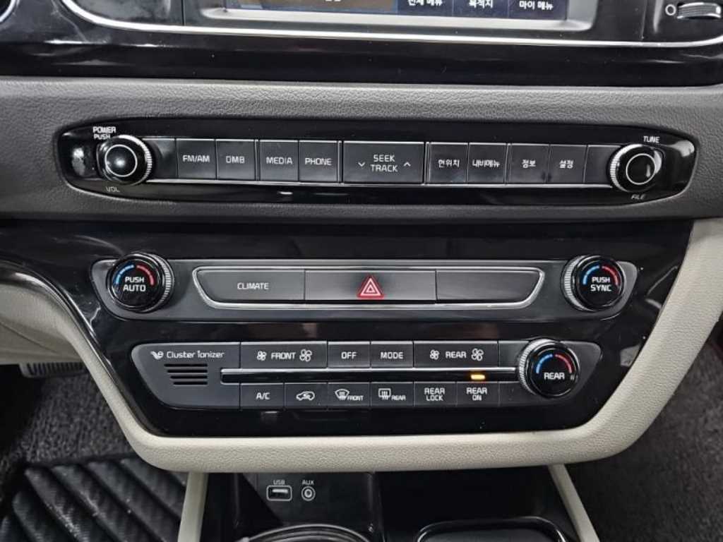 KIA Carnival - Vista 11