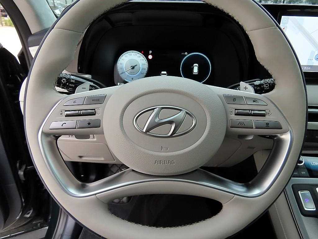 HYUNDAI Palisade - Vista 8