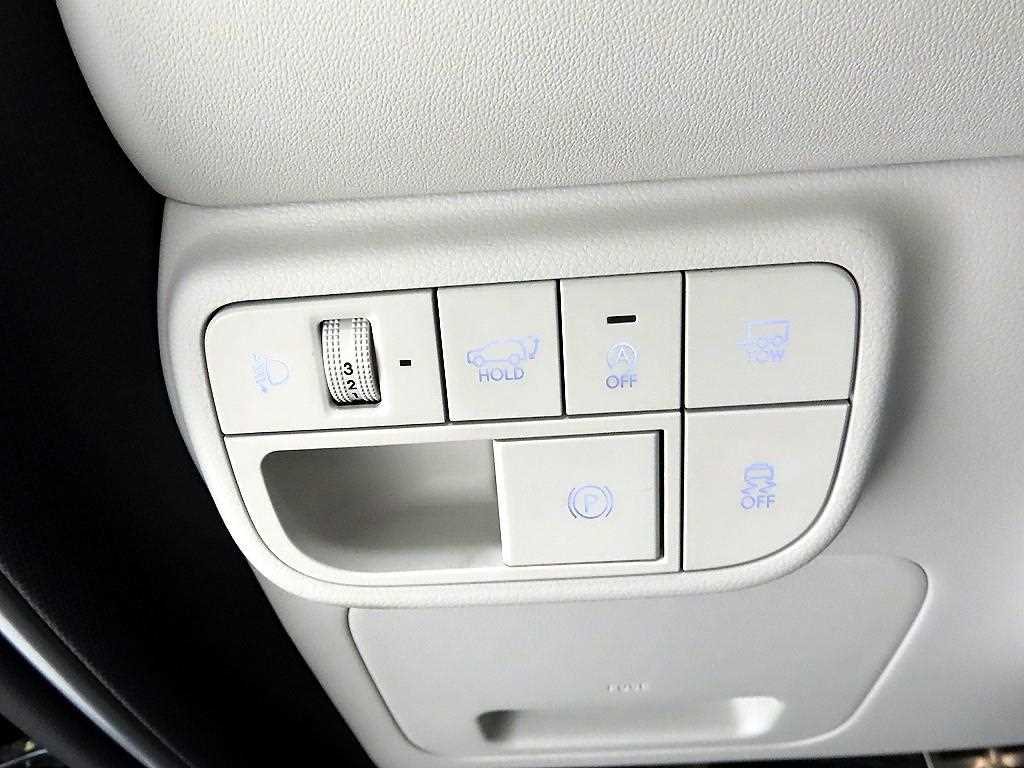 HYUNDAI Palisade - Vista 12