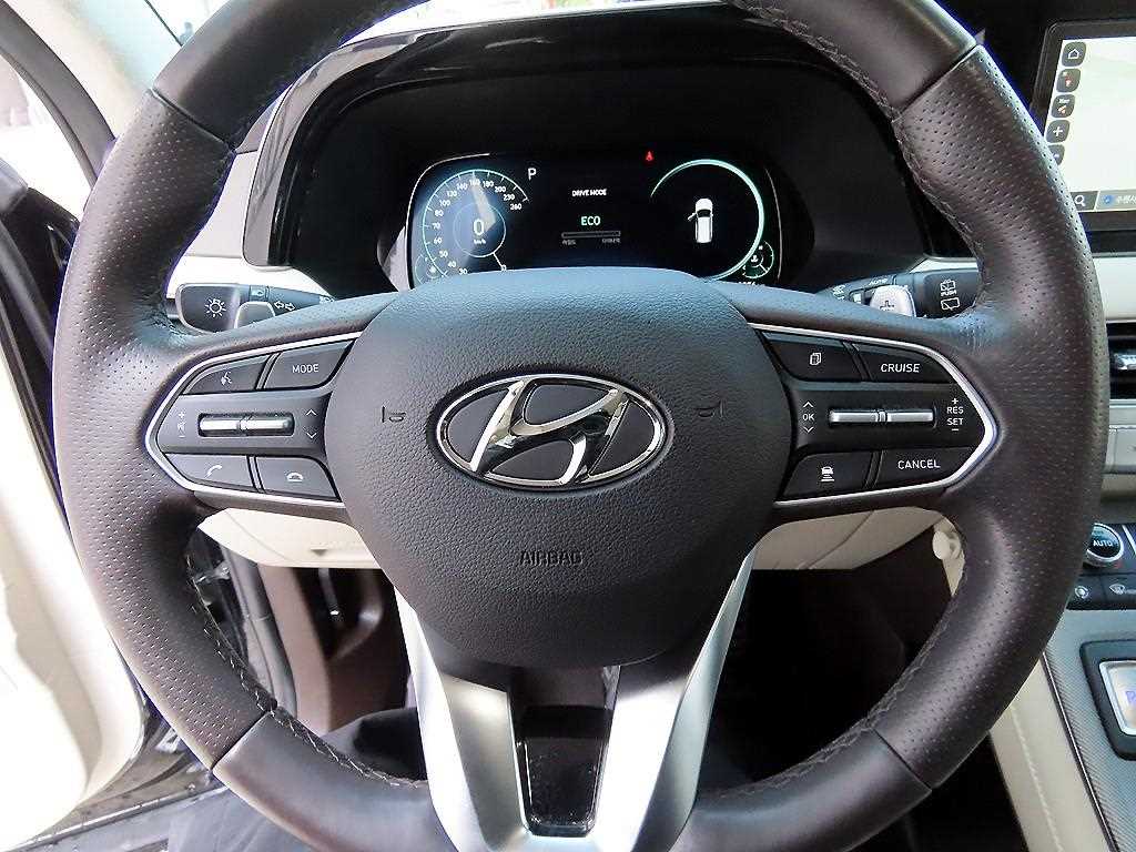 HYUNDAI Palisade - Vista 8