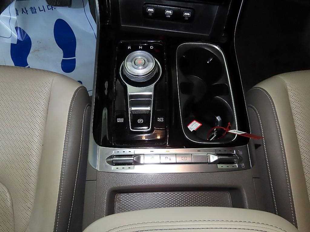 KIA Carnival - Vista 12