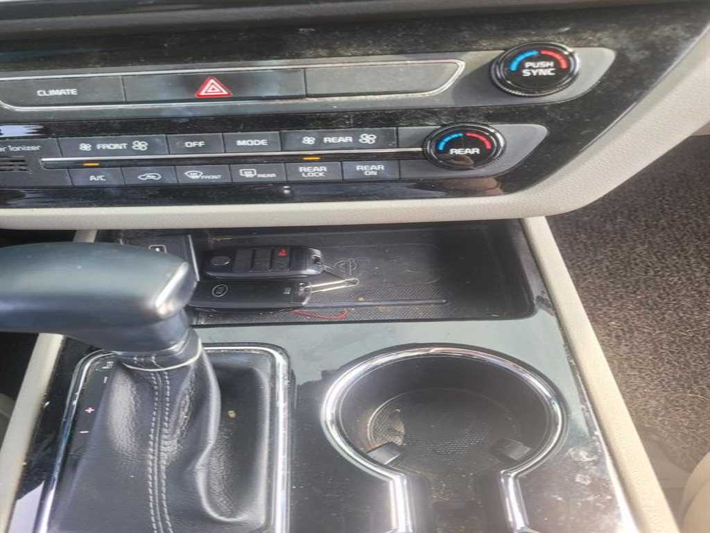 KIA Carnival - Vista 9