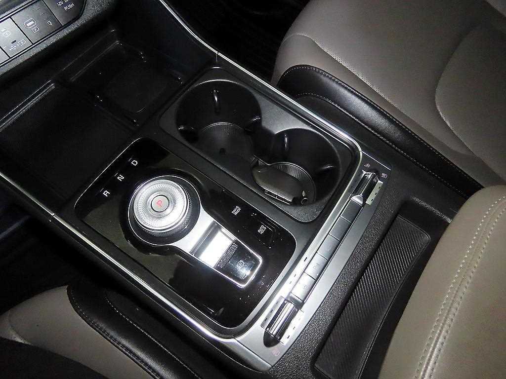 KIA Carnival - Vista 12