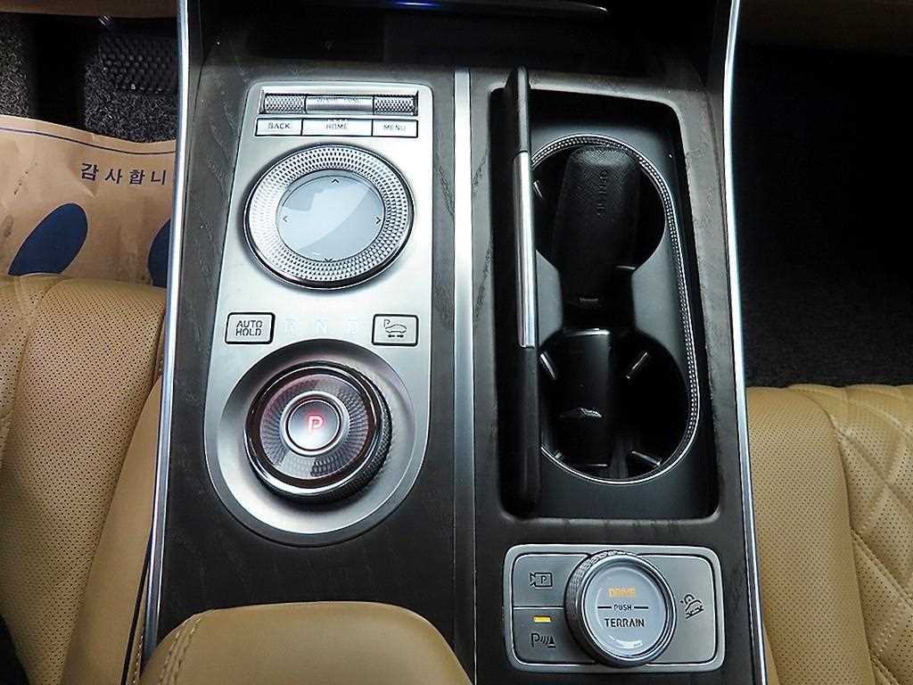 Genesis GV80 - Vista 10