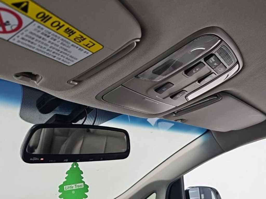 KIA Carnival - Vista 12