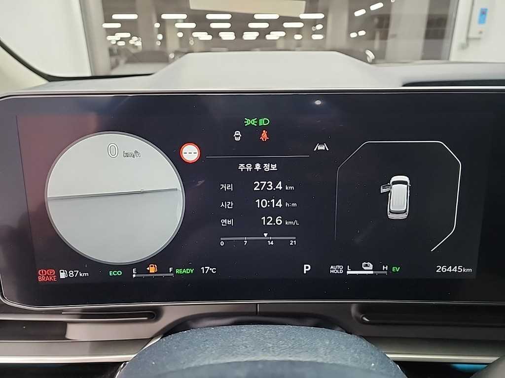 KIA Carnival - Vista 6