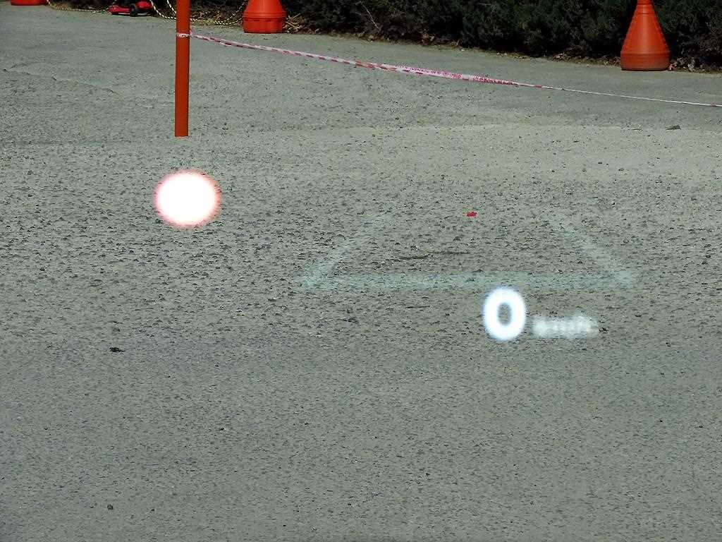 KIA Carnival - Vista 10