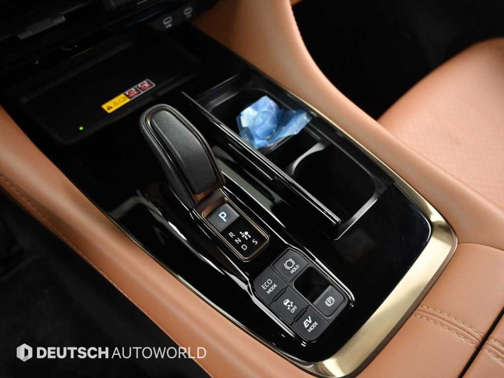 Toyota Alphard - Vista 9