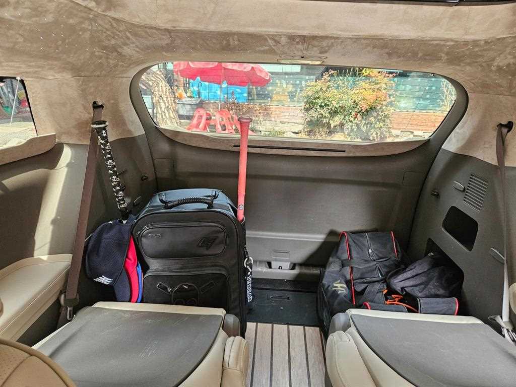 KIA Carnival - Vista 12