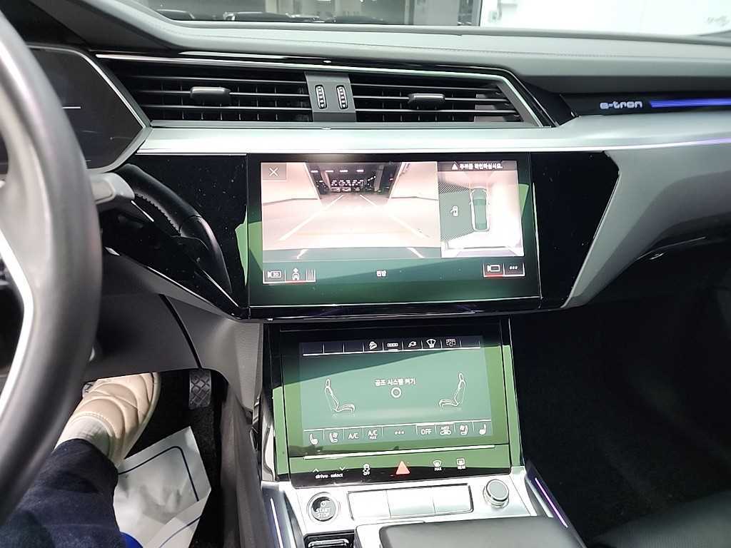 Audi e-Tron - Vista 10