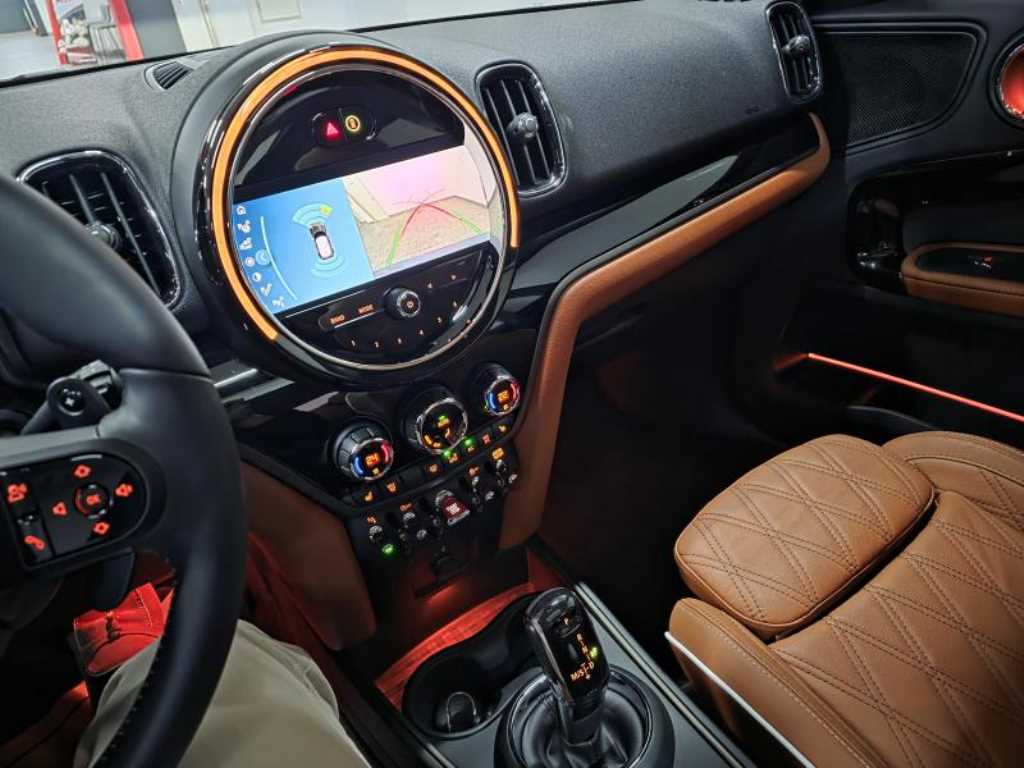 Mini Countryman - Vista 10