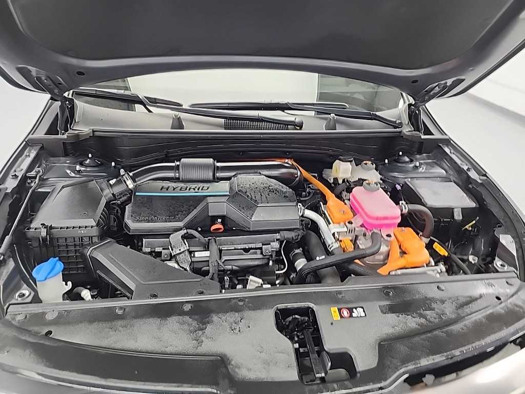 KIA Sportage - Vista 5