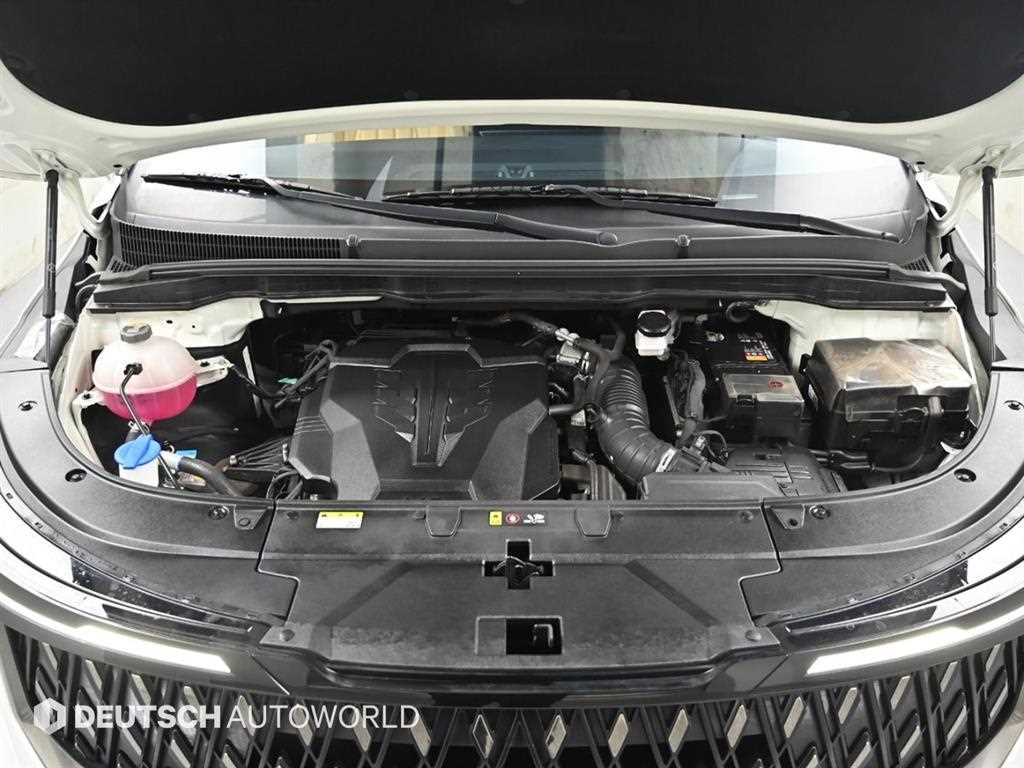 KIA Carnival - Vista 6