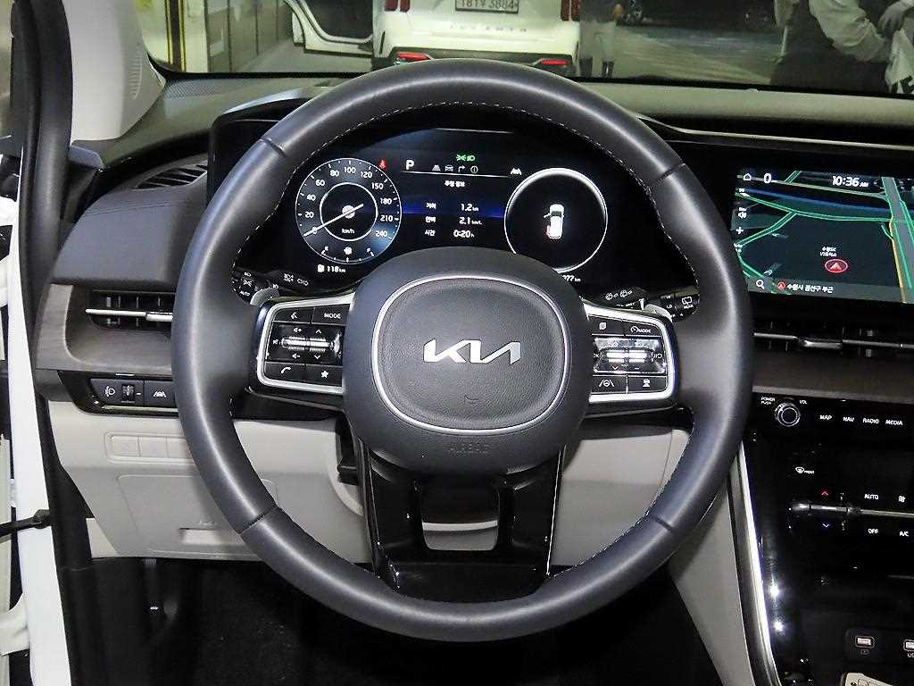 KIA Carnival - Vista 8