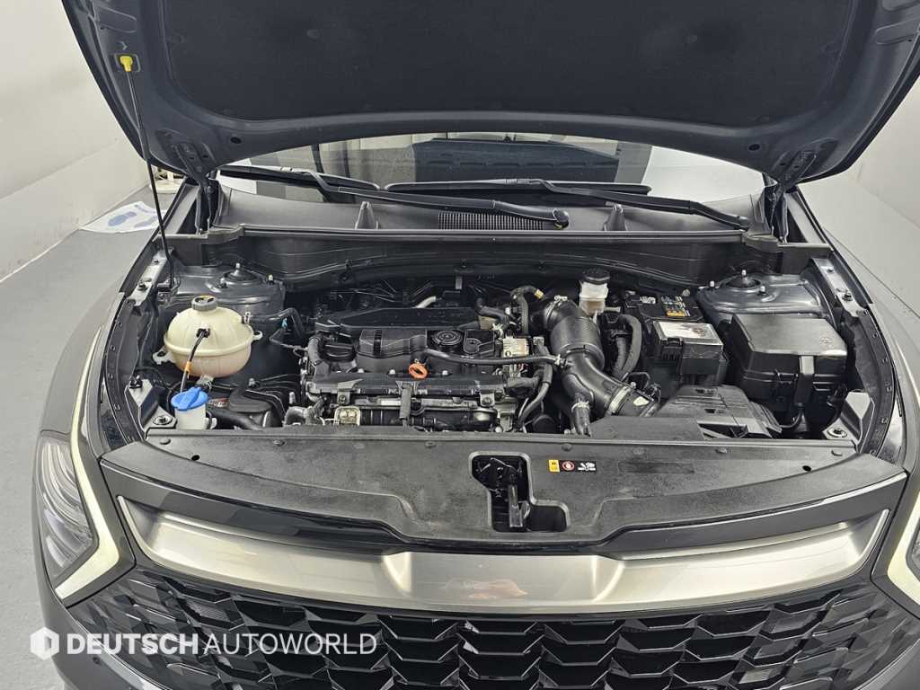 KIA Sportage - Vista 6