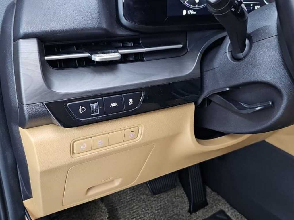 KIA Carnival - Vista 8