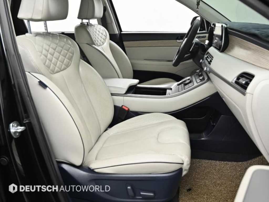 HYUNDAI Palisade - Vista 10