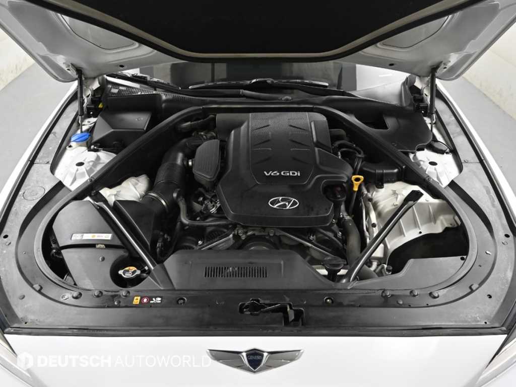 HYUNDAI Genesis - Vista 6