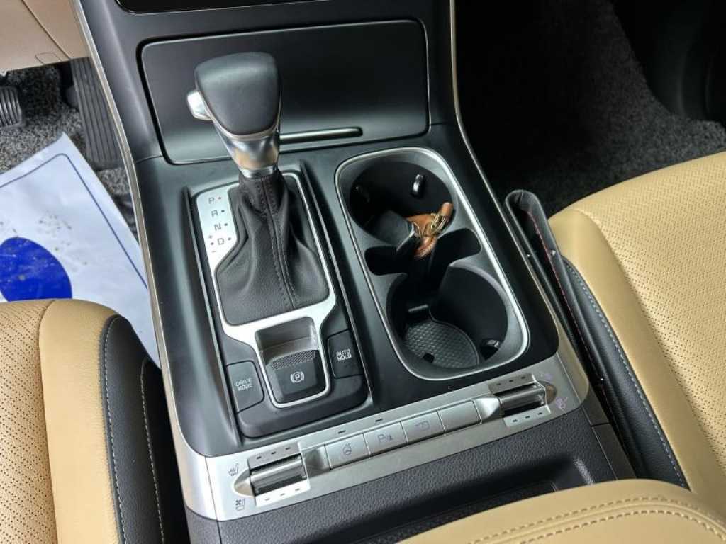 KIA Carnival - Vista 11