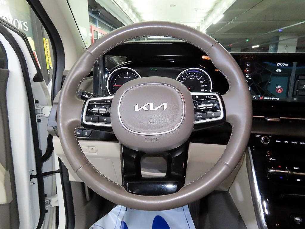 KIA Carnival - Vista 8