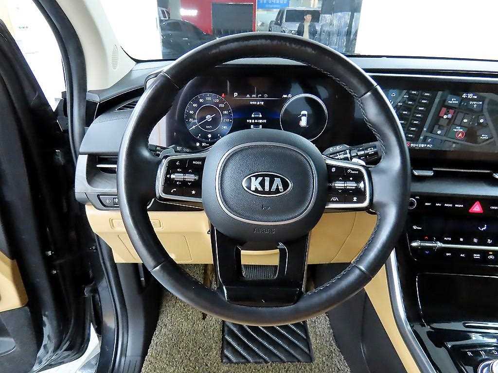 KIA Carnival - Vista 9